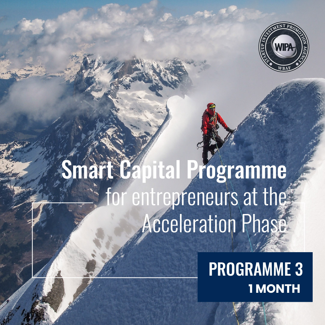 WSEP - Programme 3 Smart Capital