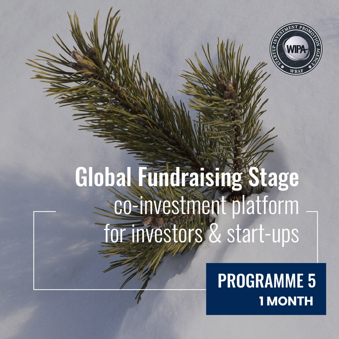 Programme 5: Global Fundraising Stage